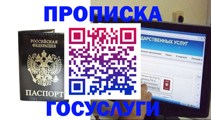 прописка гарантия в Дудинке